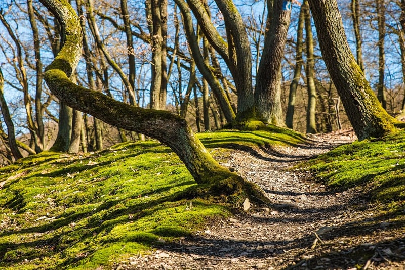 Hiking Clothing